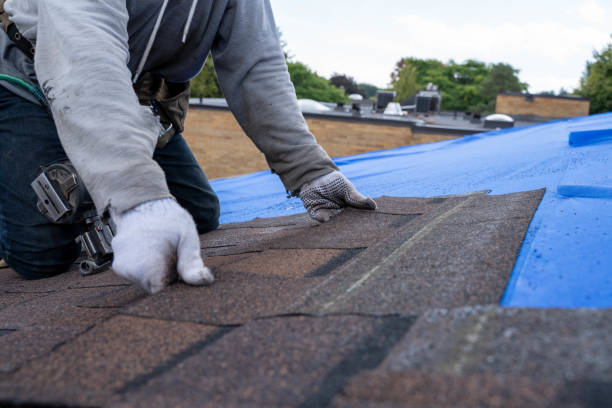 Best Gutter Installation and Roofing  in Central City, PA
