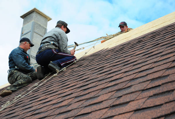 Best Storm Damage Roof Repair  in Central City, PA